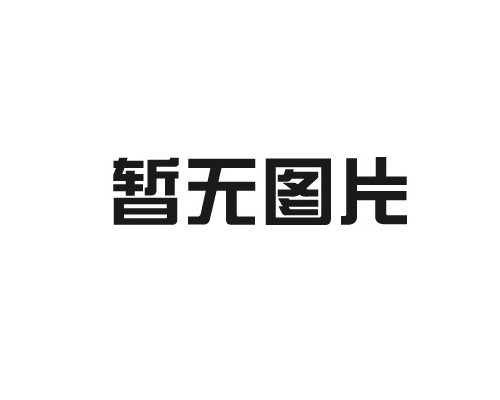公司集體觀看閱兵儀式